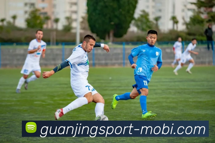 冠竞体育平台生态图